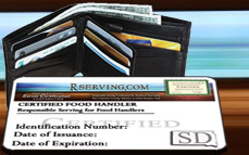 Replacement Wallet Card